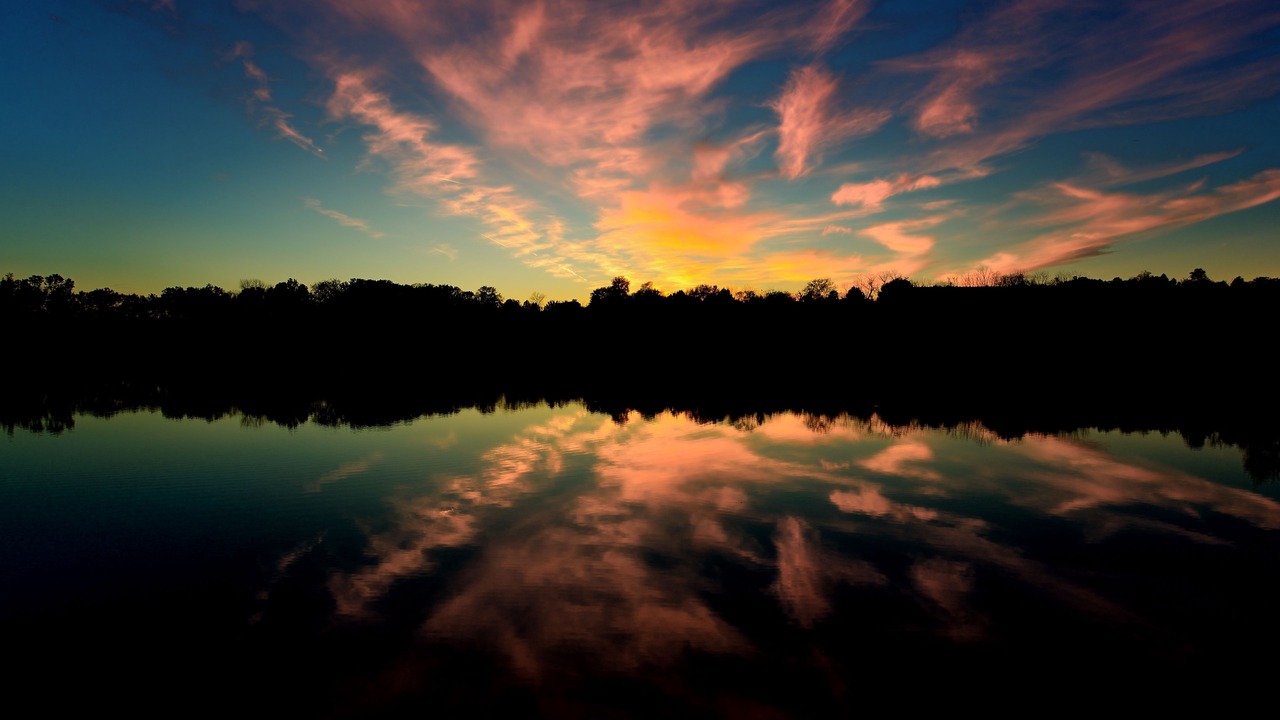 Photo of Others in New Haven
