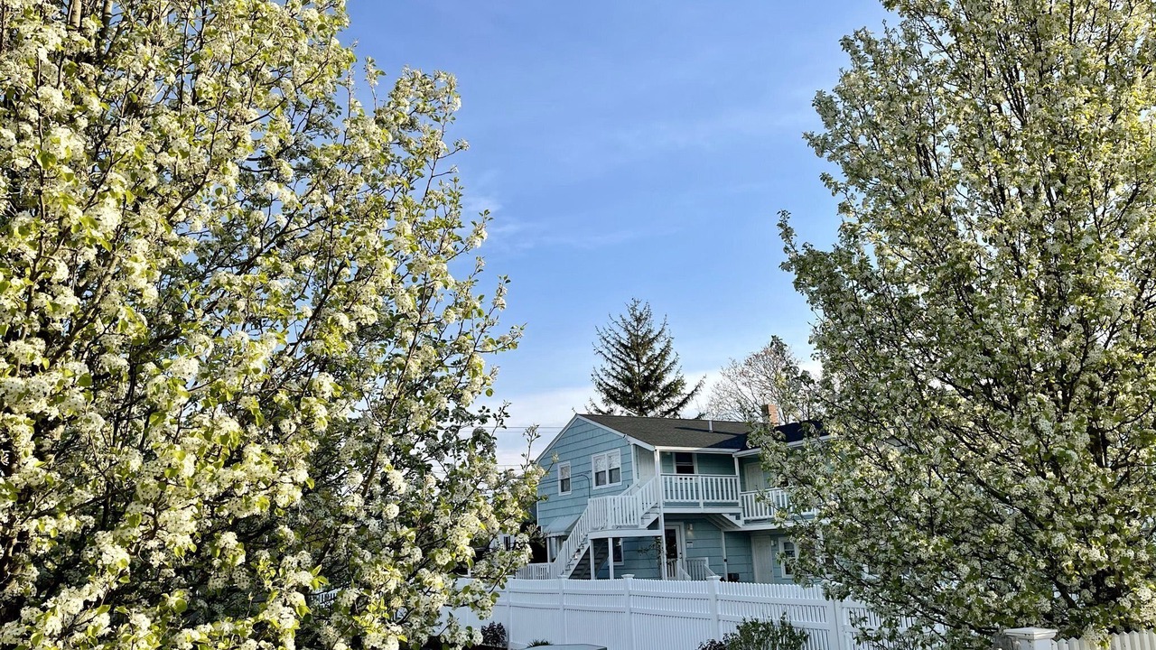 Photo of Outdoor in South Yarmouth