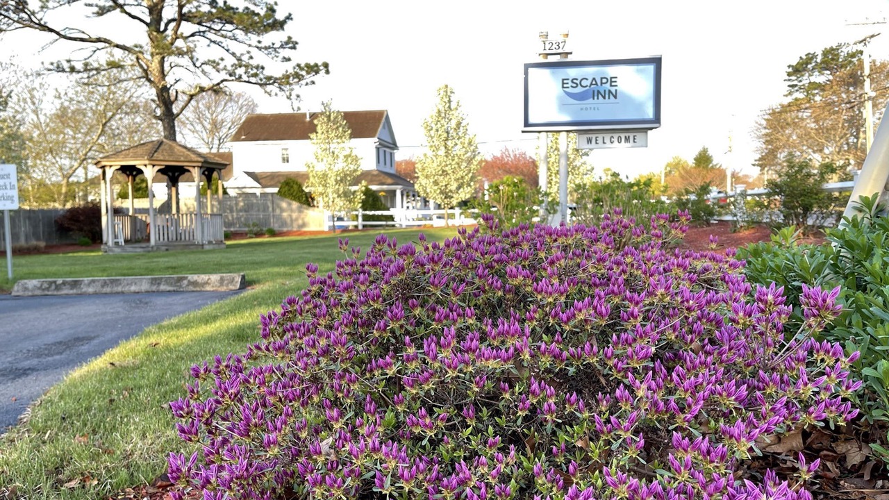 Photo of Outdoor in South Yarmouth