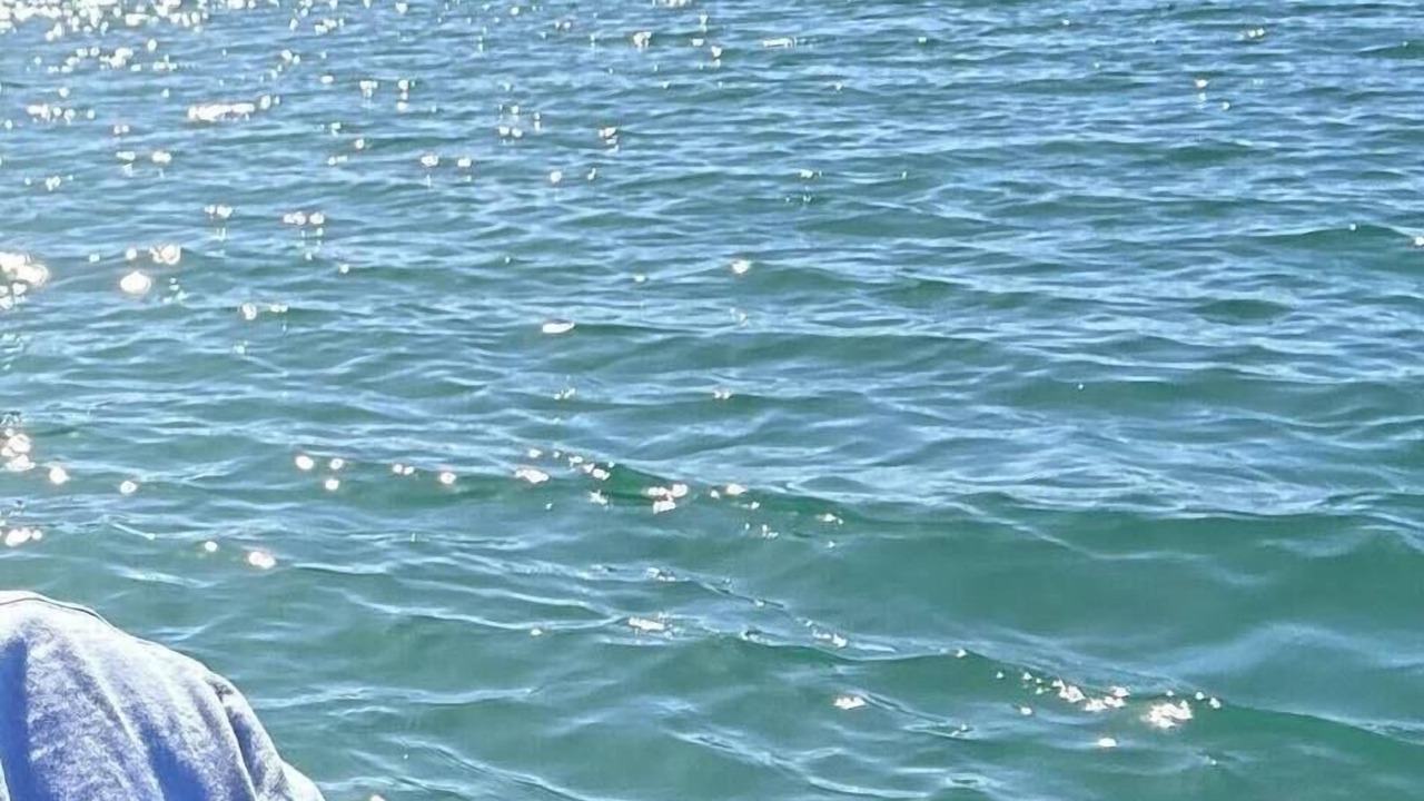 Photo of Others in Tauranga