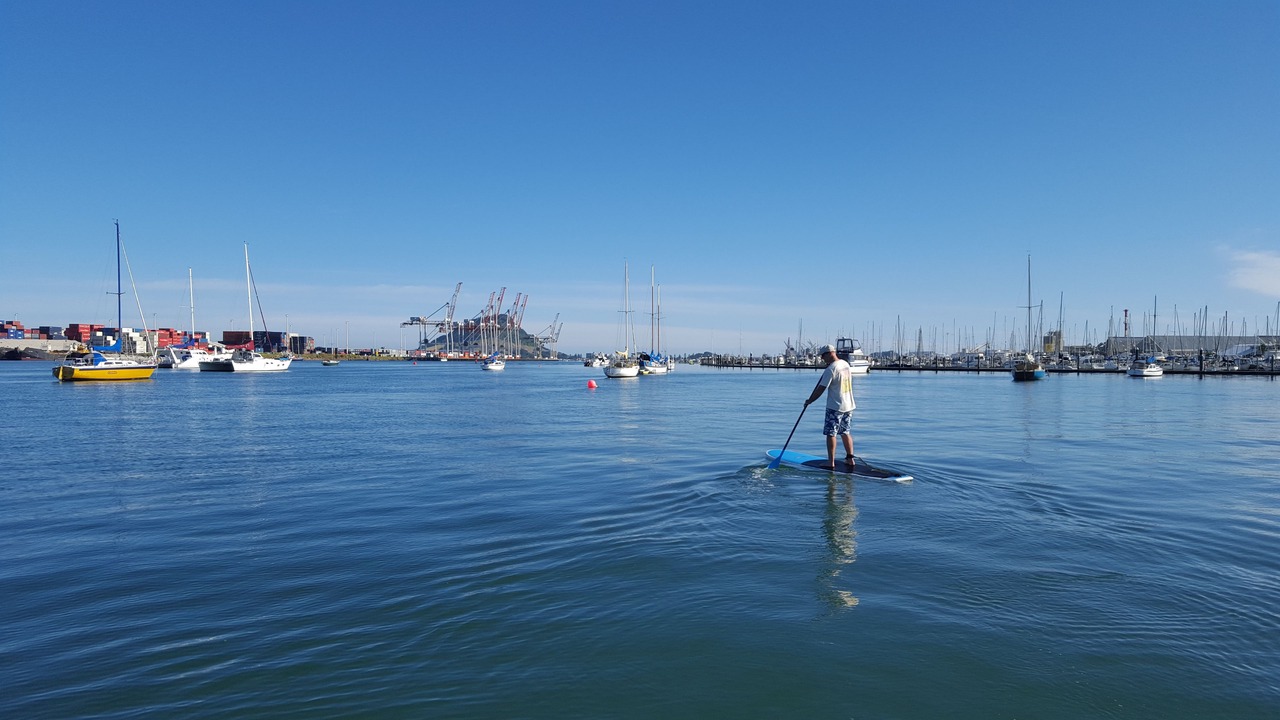 Photo of Others in Tauranga