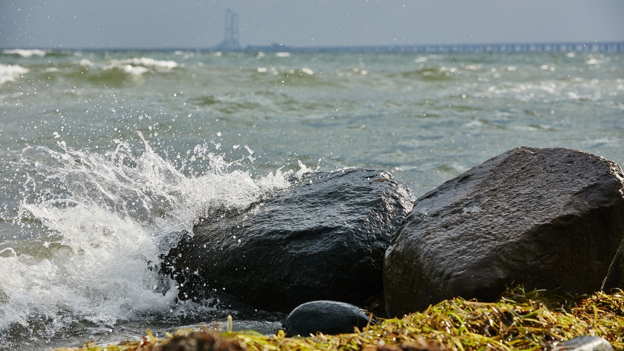 Photo of Others in Nyborg