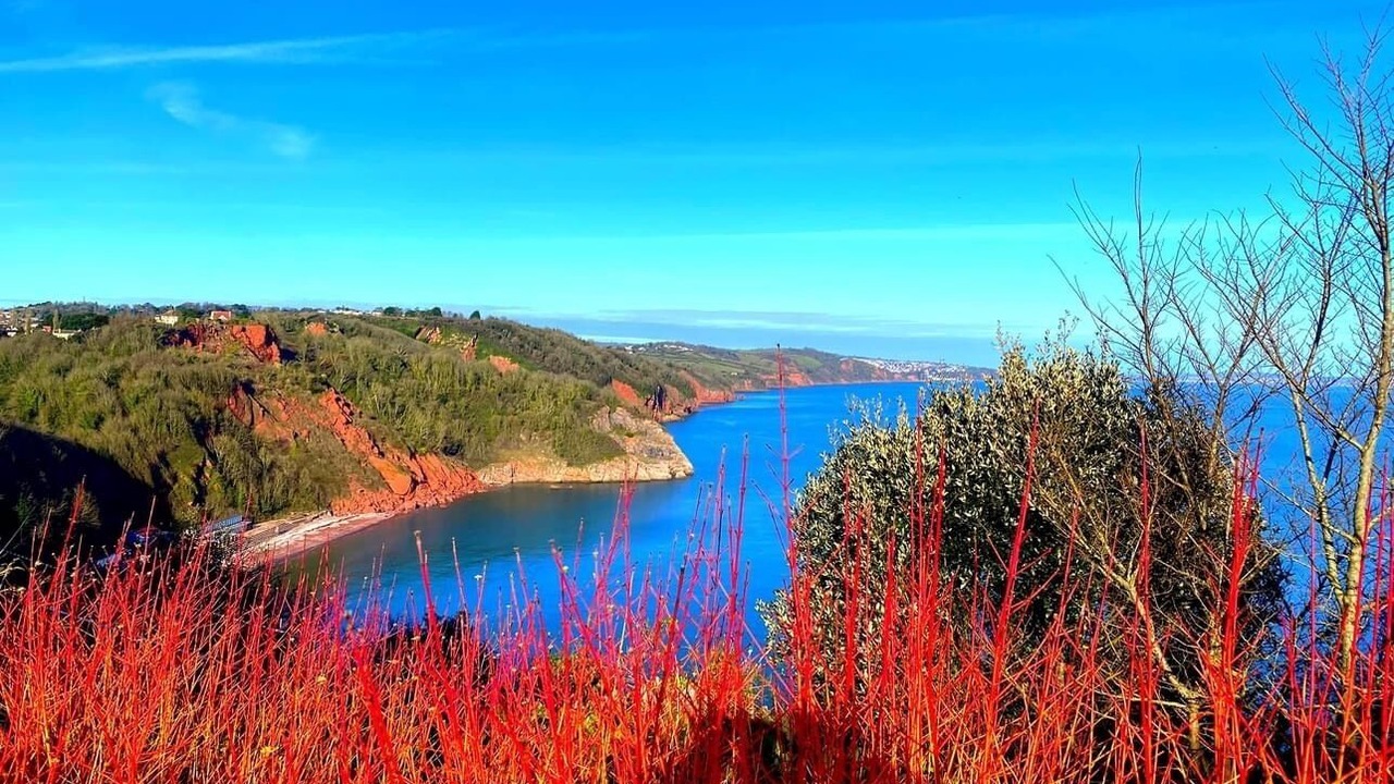 Photo of Outdoor in Babbacombe