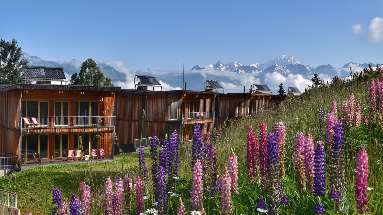 Photo of Outdoor in Arc-1800