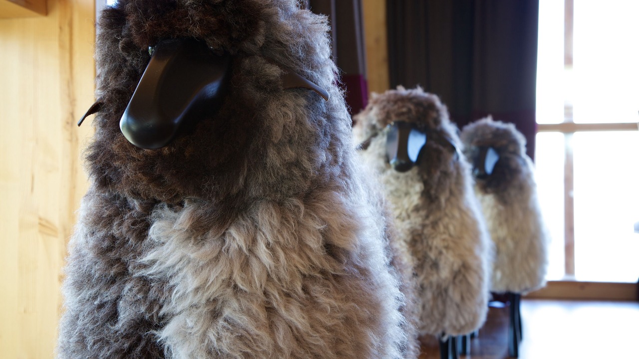 Photo of Others in Arc-1800