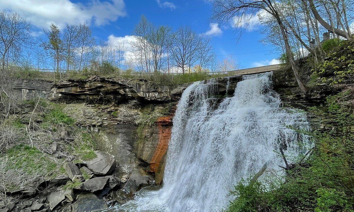 Photo of Others in Beachwood