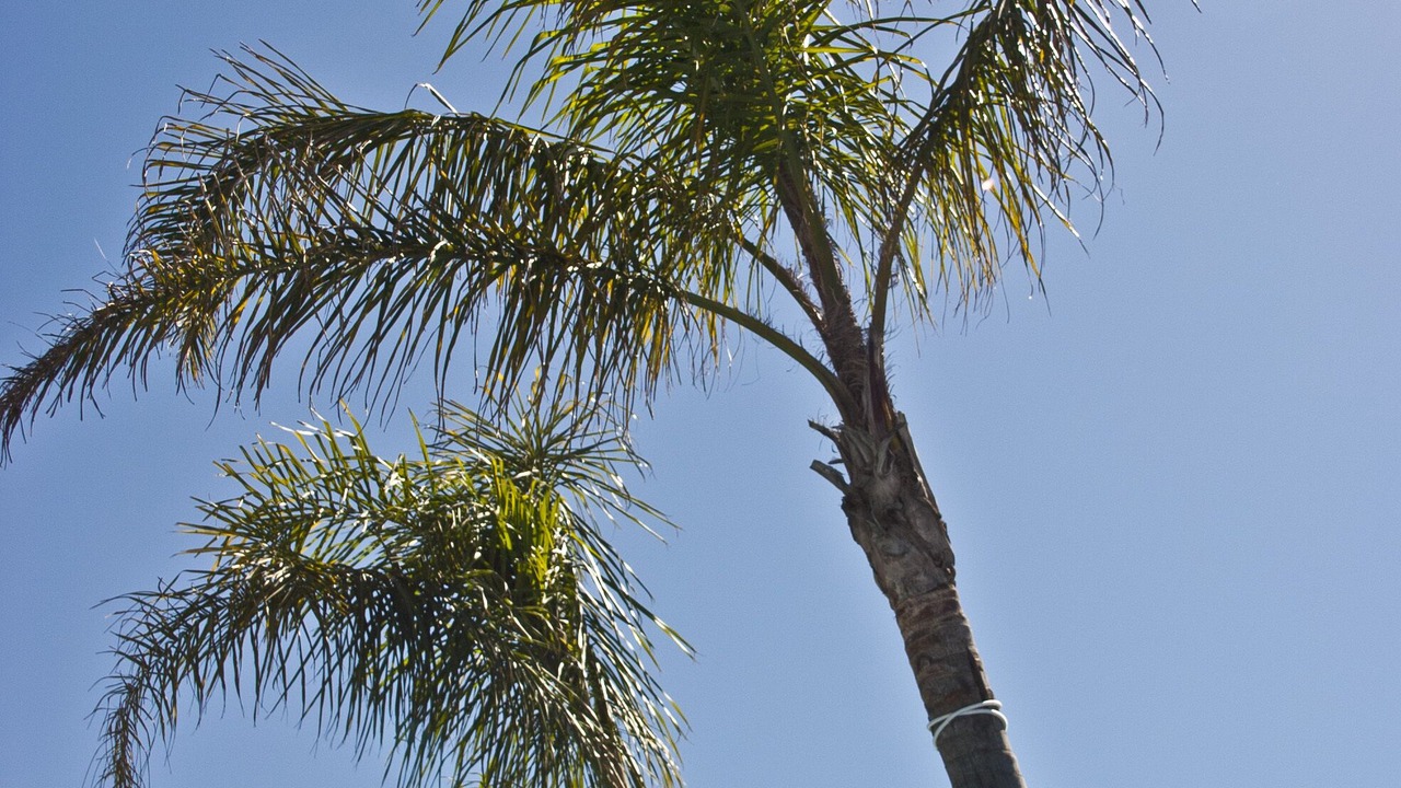 Photo of Outdoor in Malgrat de Mar