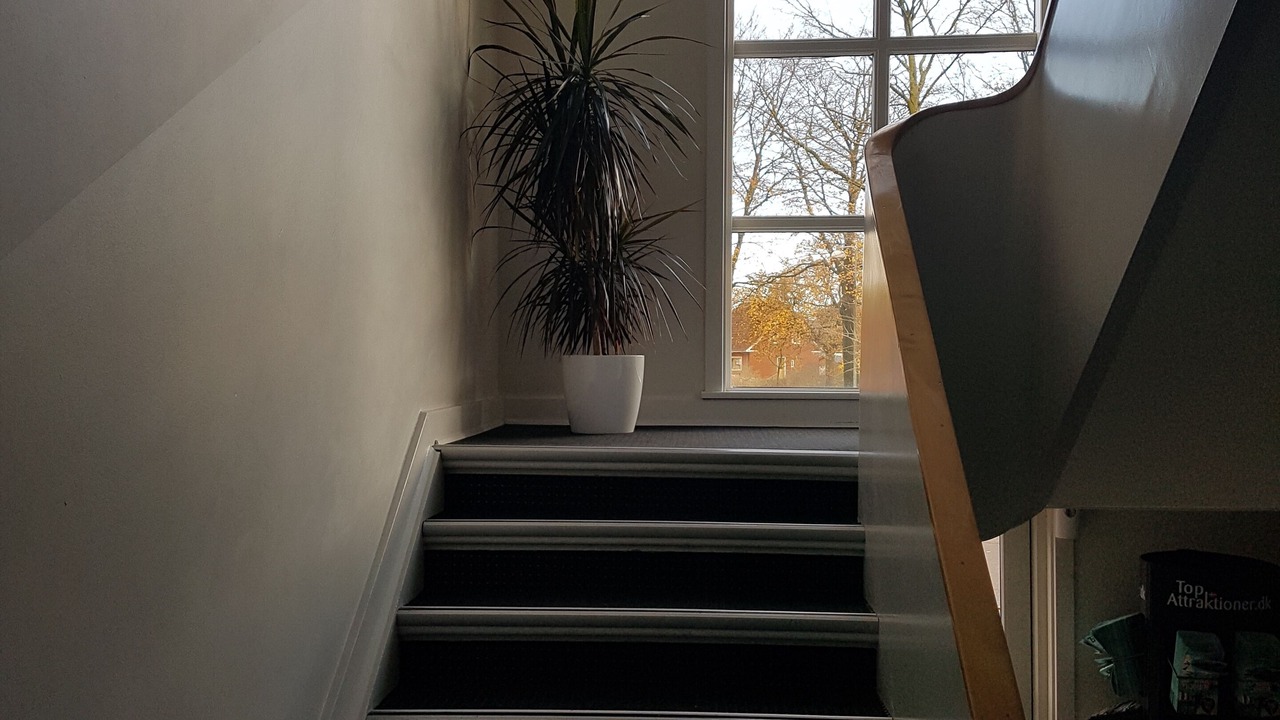 Photo of Others in Brande