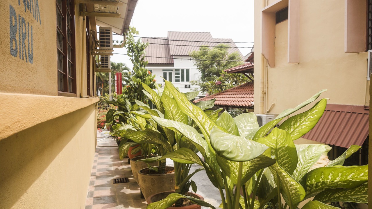 Photo of Outdoor in Gelugor