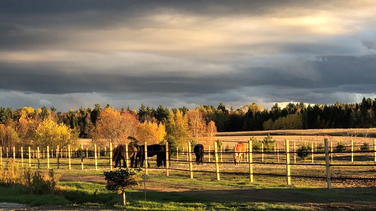 Photo of Outdoor in Becancour