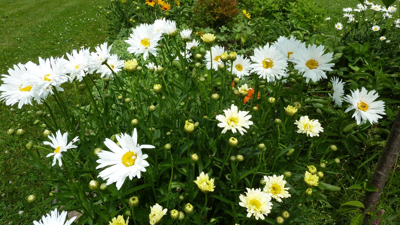 Photo of Outdoor in Becancour