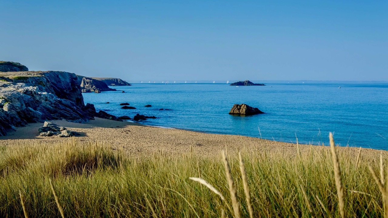 Photo of Others in Auray