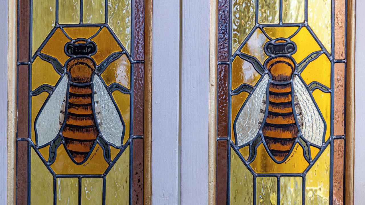 Photo of Others in Orleans