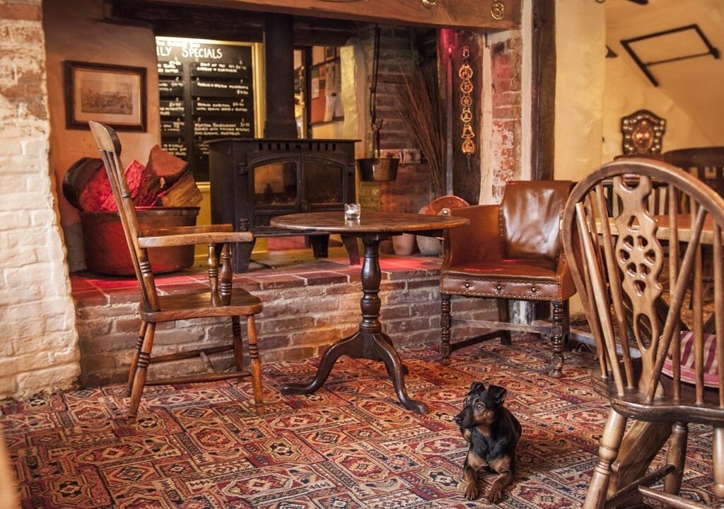 Photo of Others in Chute