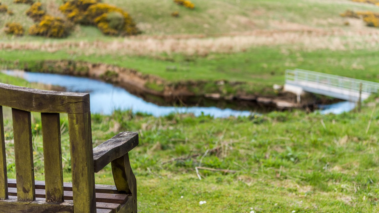 Photo of Others in Thurso