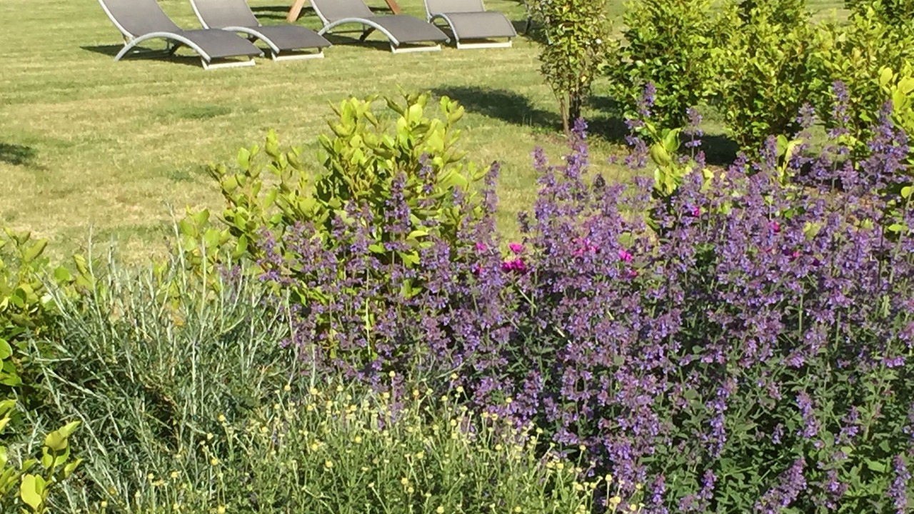 Photo of Outdoor in Yffiniac