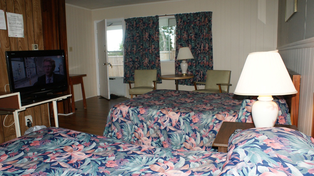 Photo of Others in Saint John