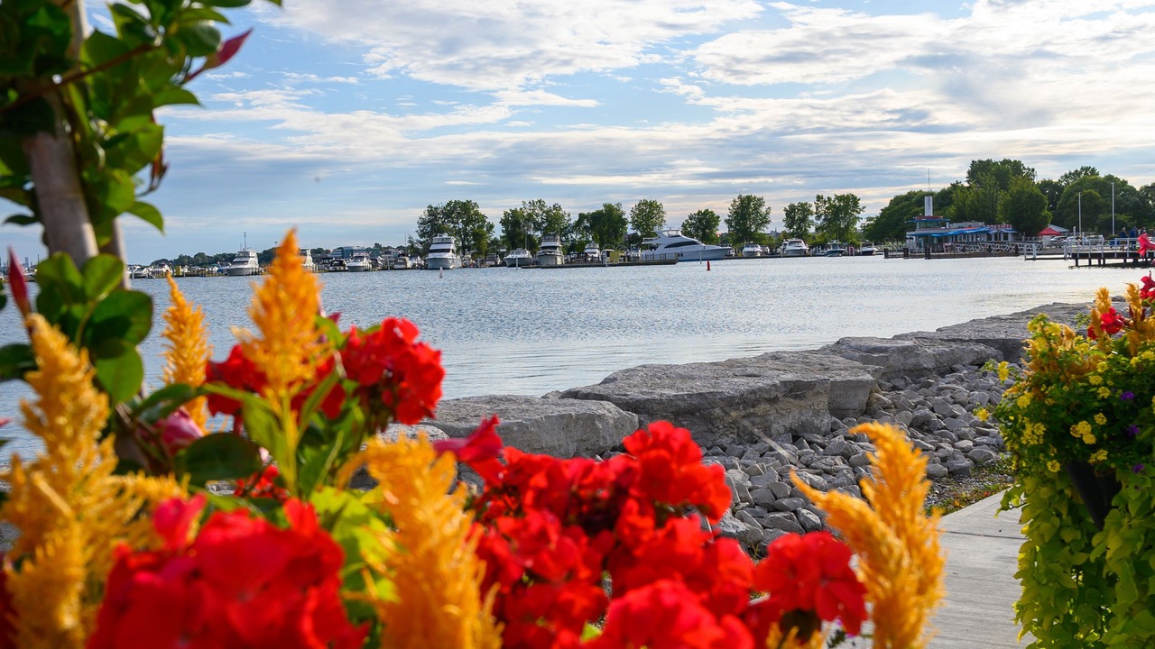 Photo of Outdoor in Sarnia