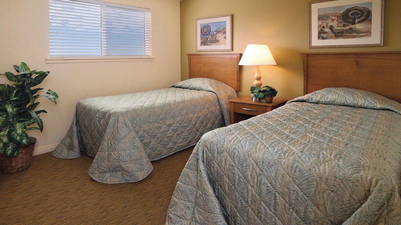 Photo of Others in Ocean Park