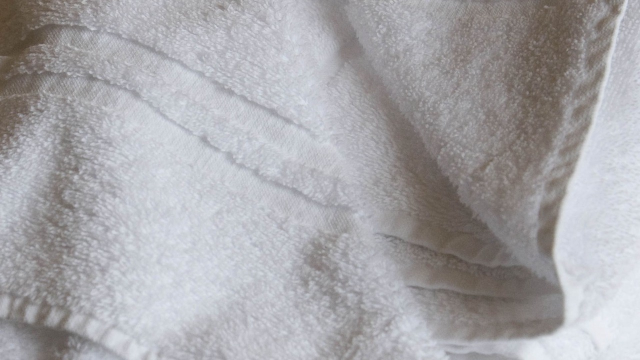 Photo of Others in Stonehaven