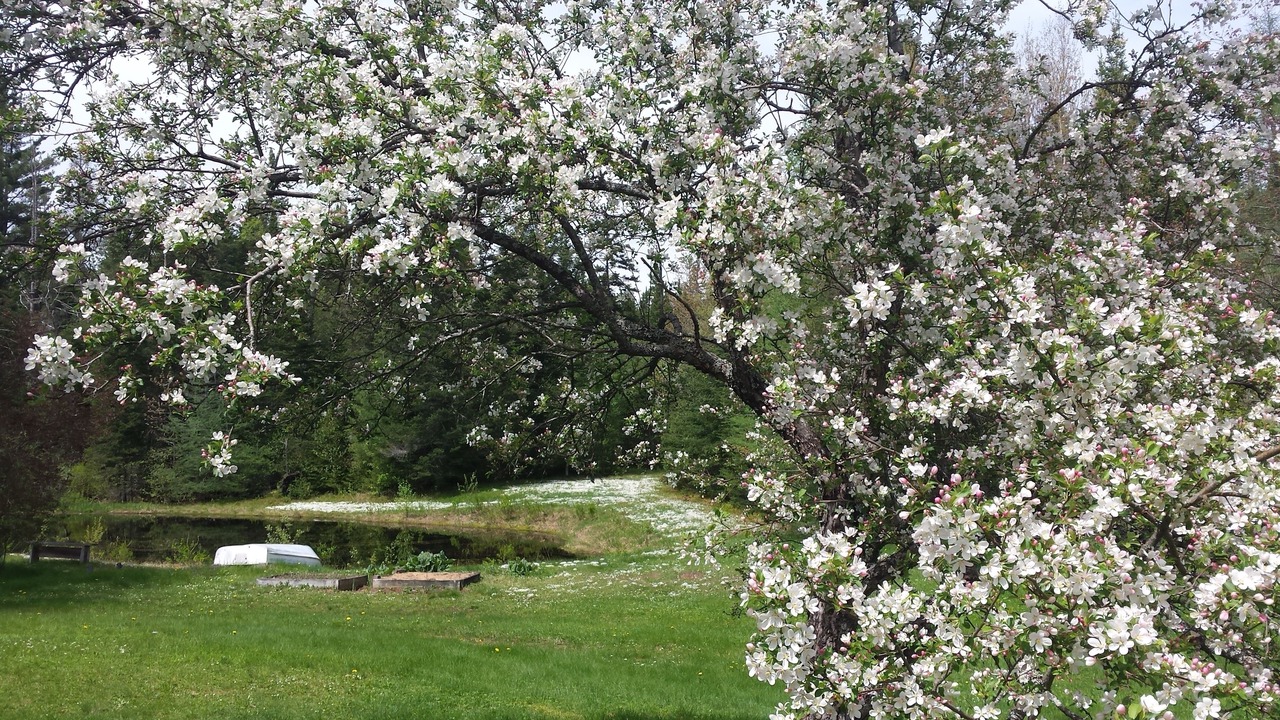 Photo of Others in Twin Mountain