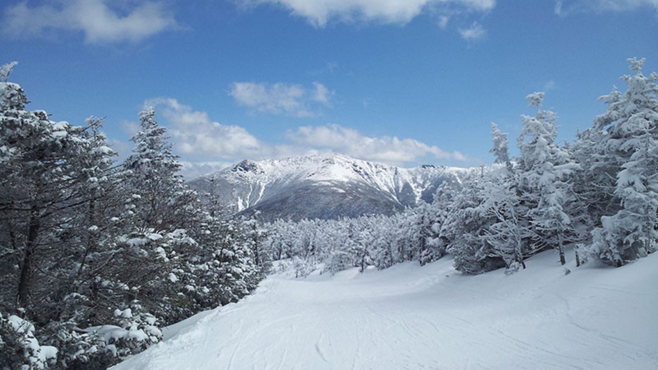 Photo of Others in Twin Mountain