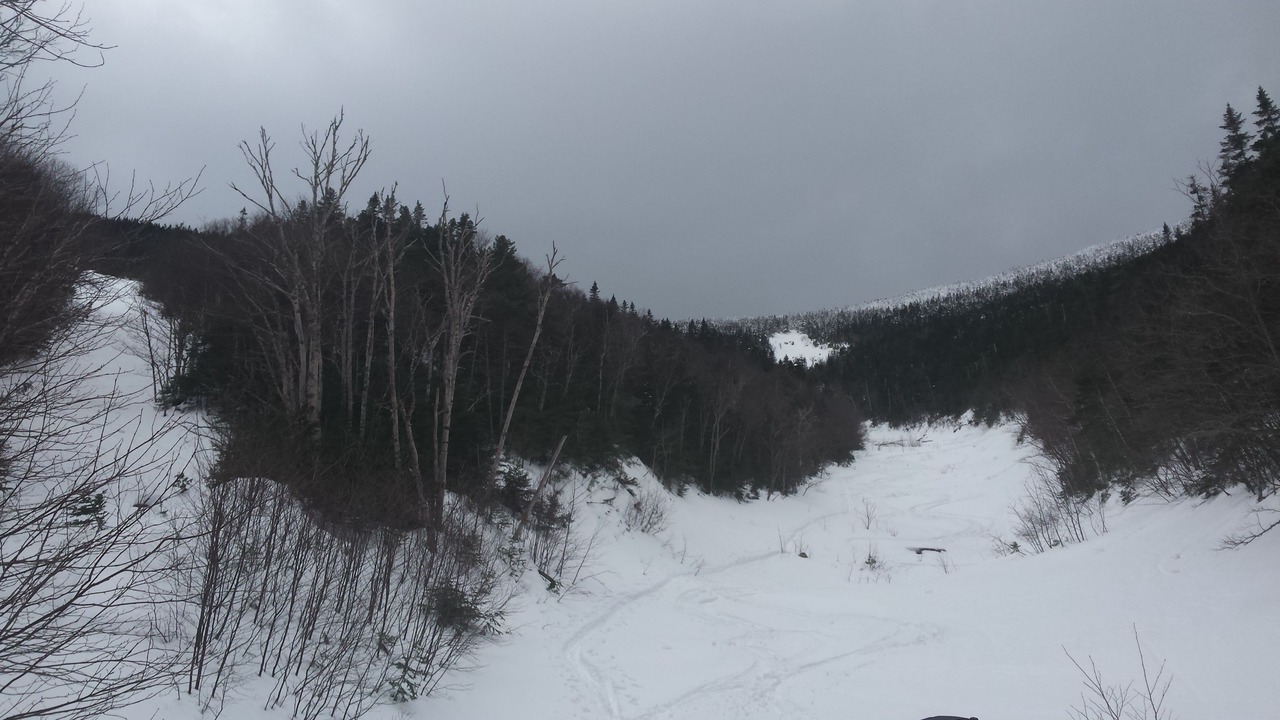 Photo of Others in Twin Mountain