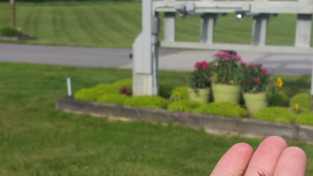 Photo of Outdoor in Twin Mountain