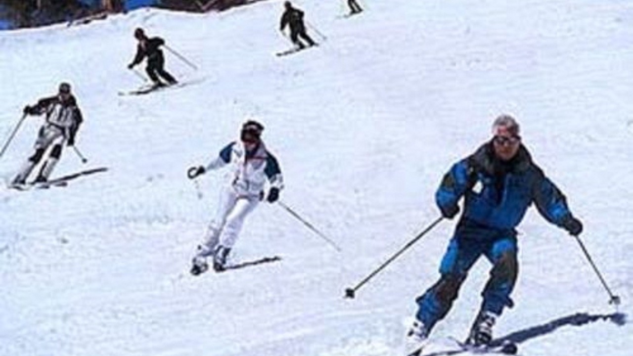 Photo of Others in Twin Mountain