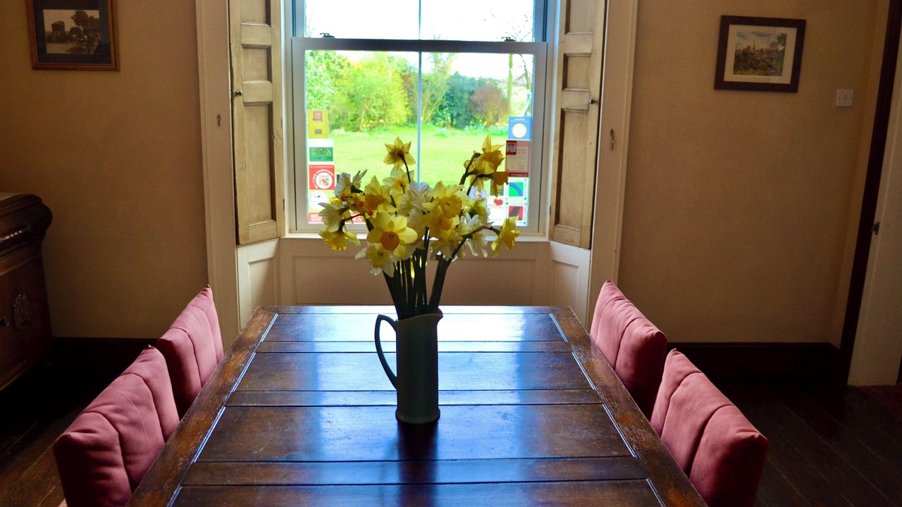 Photo of Others in Clows Top