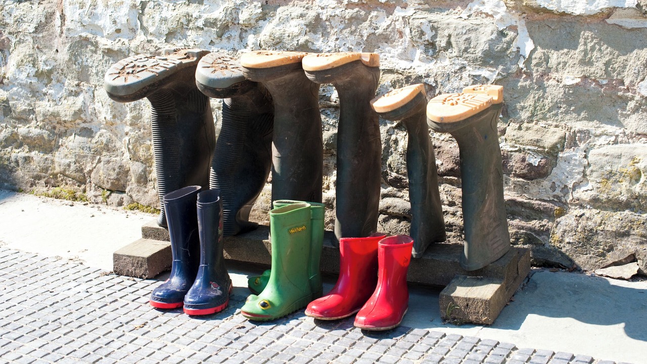 Photo of Others in Clows Top