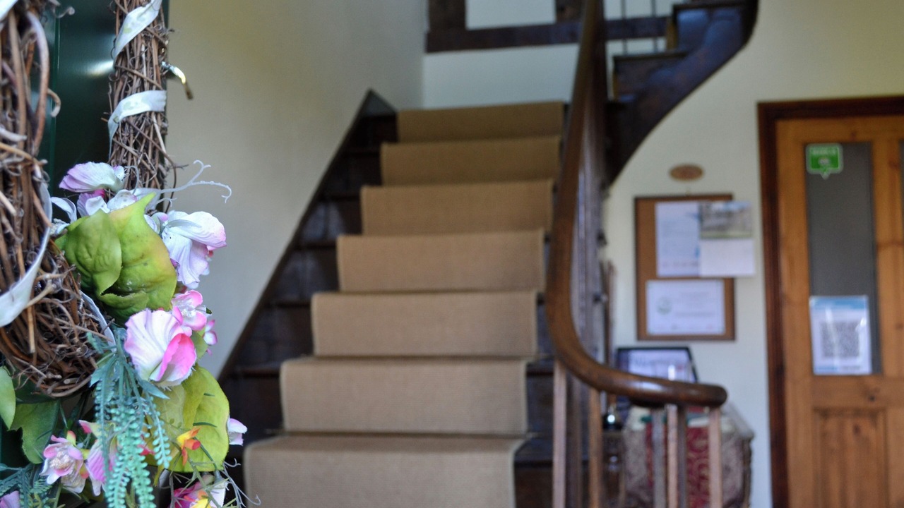 Photo of Others in Clows Top