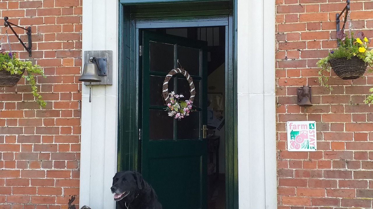 Photo of Others in Clows Top