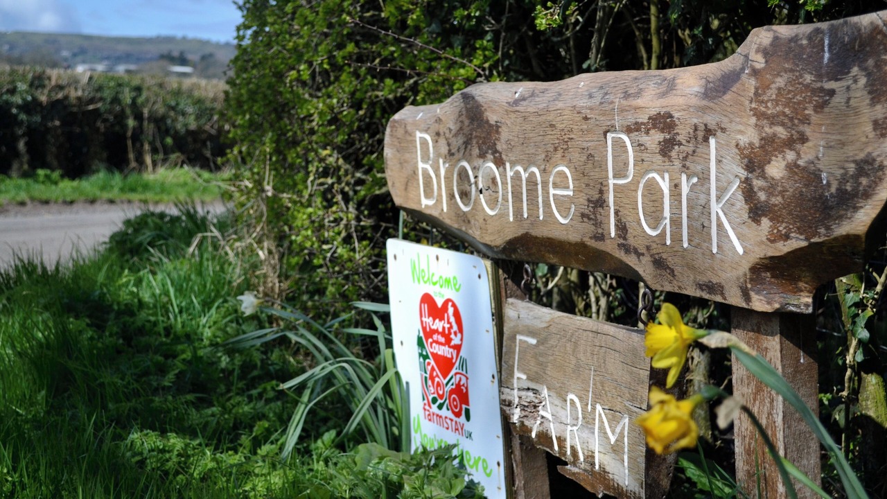 Photo of Others in Clows Top