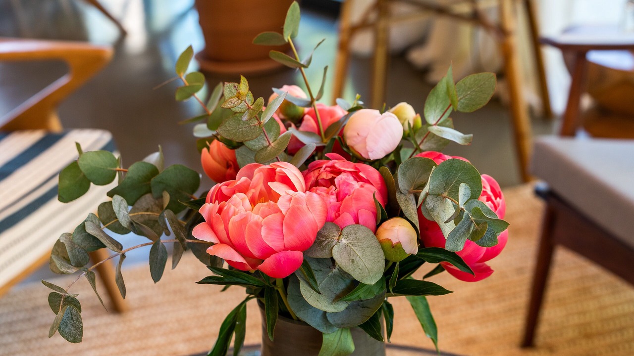 Photo of Others in Le Rayol