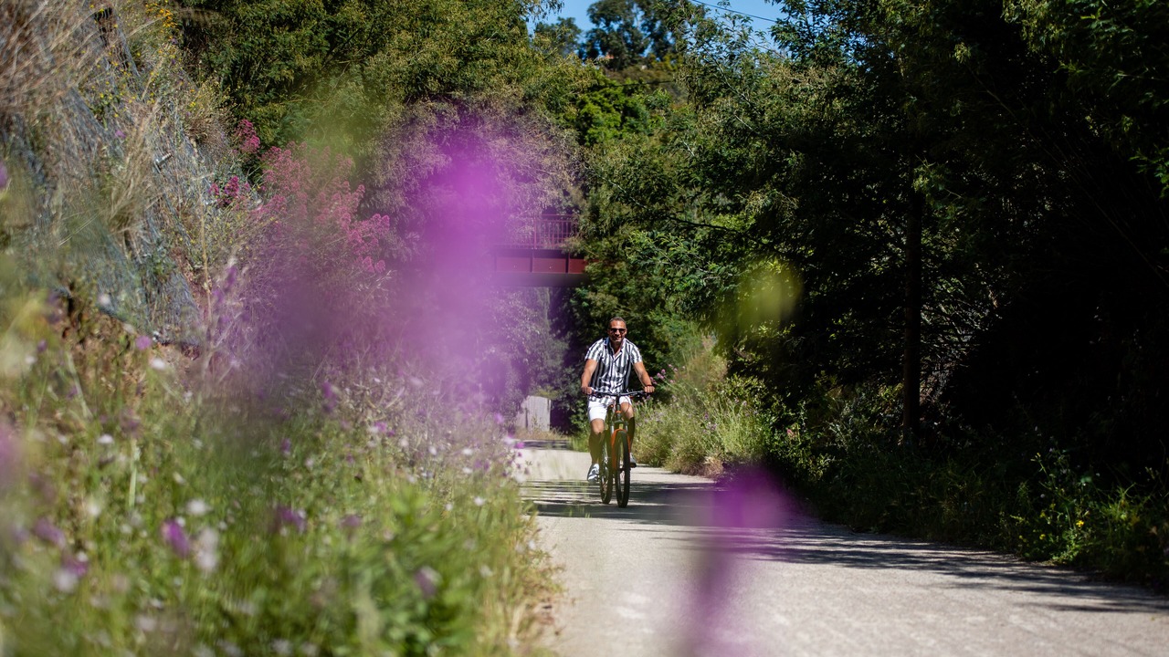 Photo of Outdoor in Le Rayol