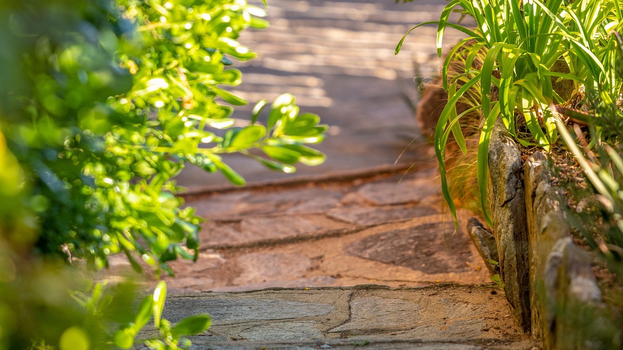Photo of Outdoor in Le Rayol