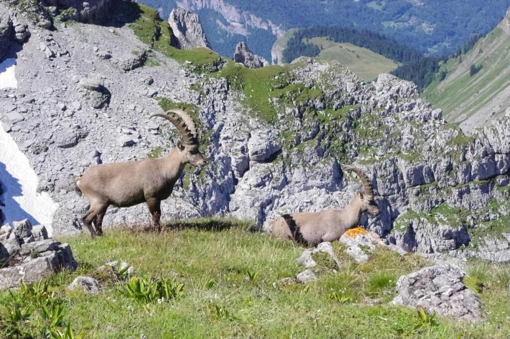 Photo of Outdoor in Les Carroz-d'Araches