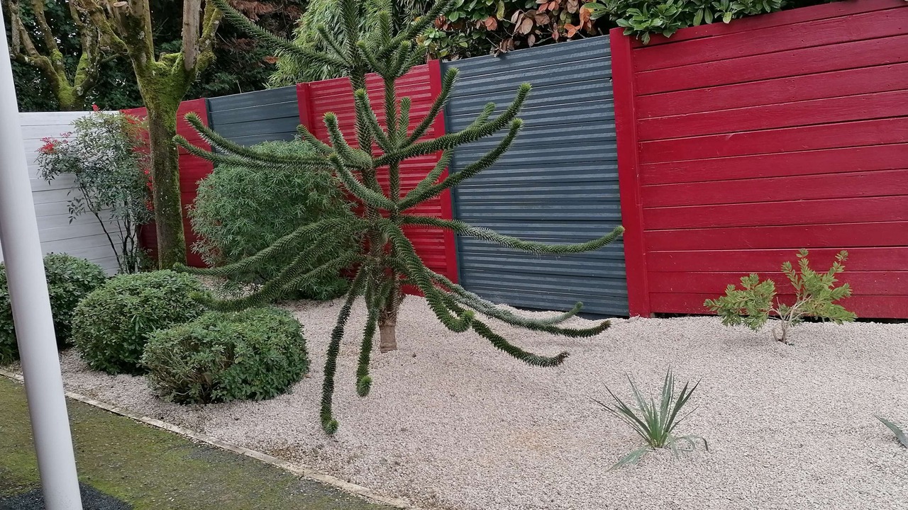 Photo of Outdoor in Le Sequestre