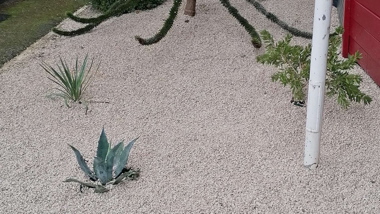 Photo of Outdoor in Le Sequestre
