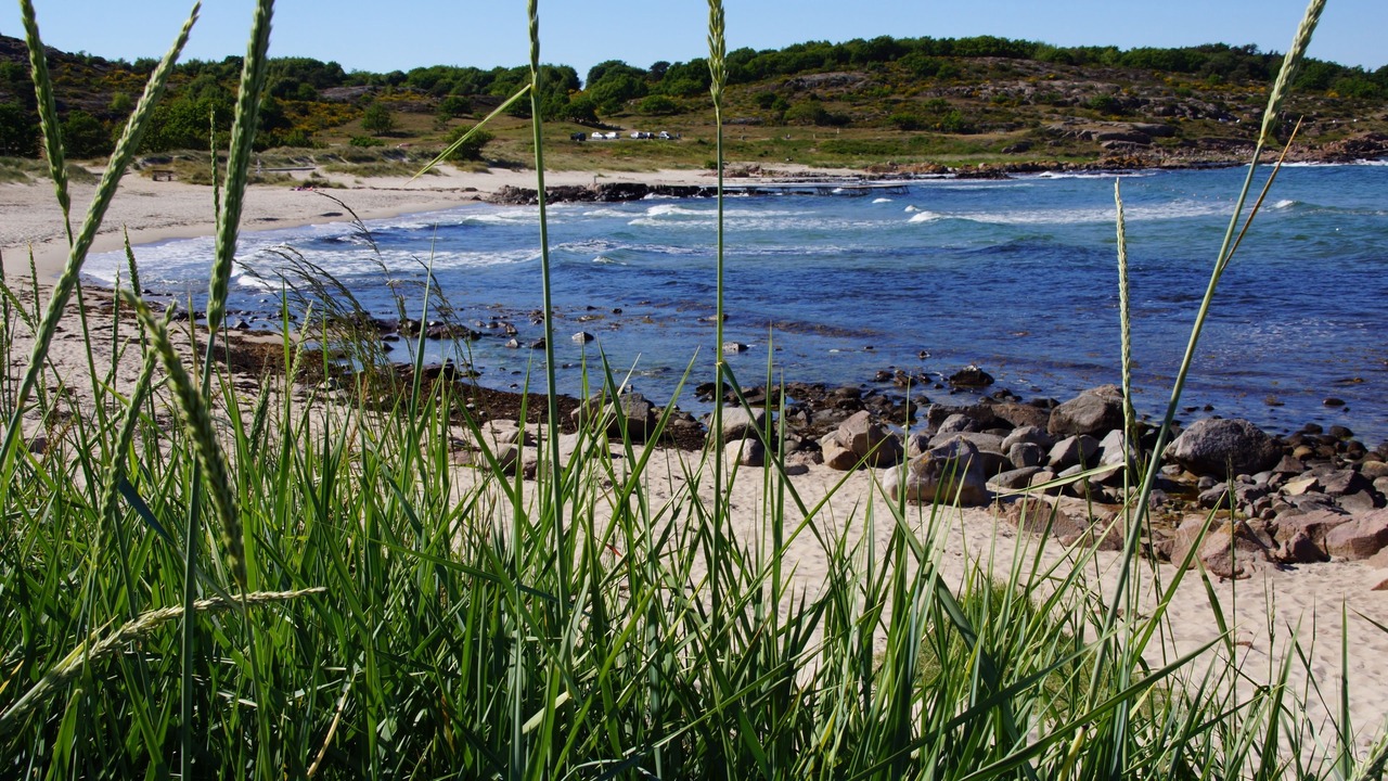 Photo of Outdoor in Sandvig