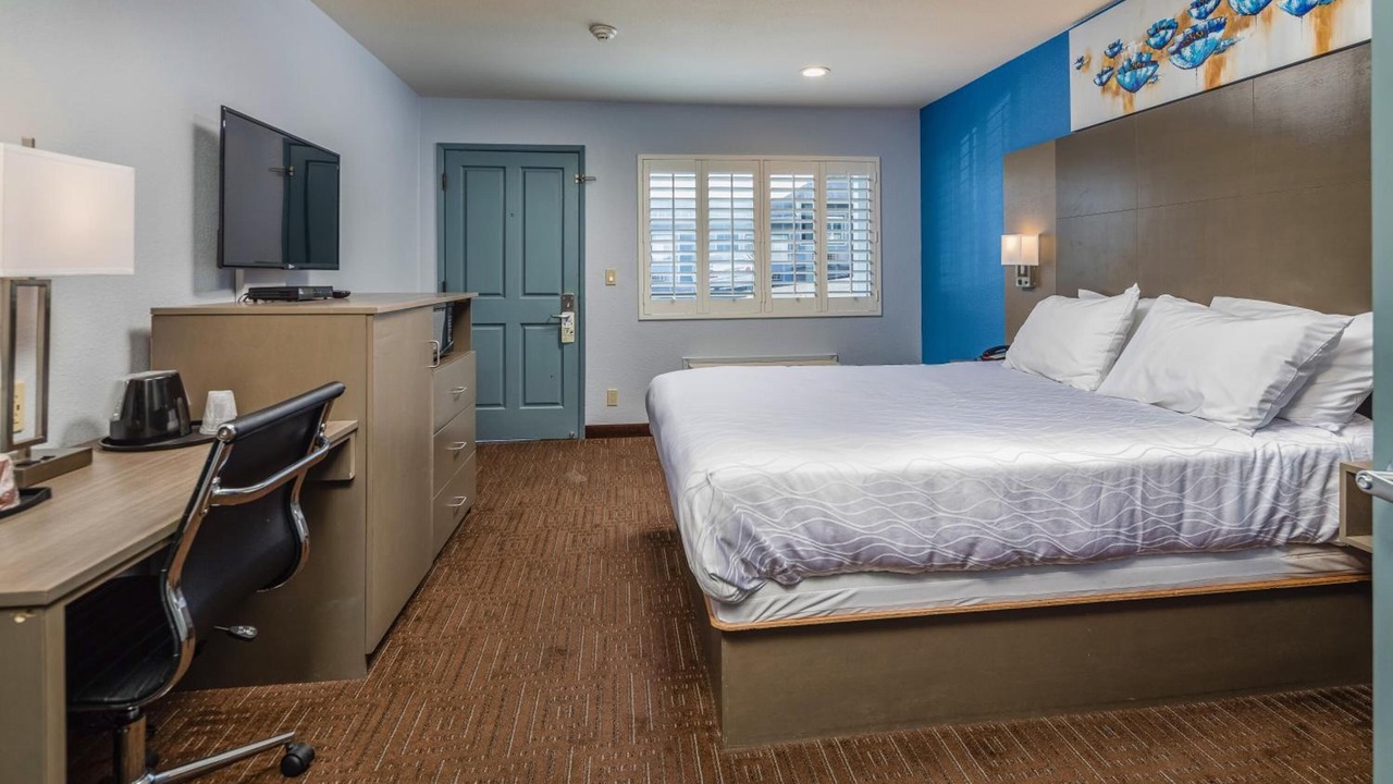 Photo of Others in Belmont