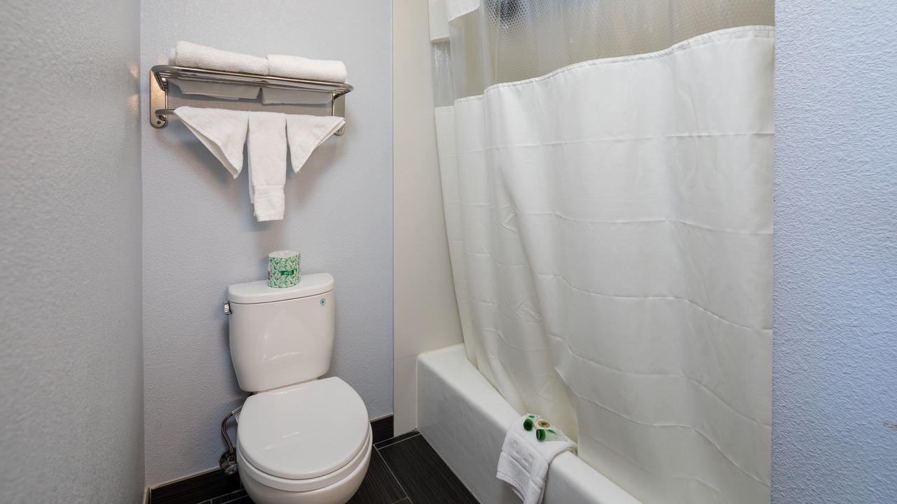 Photo of Bathroom in Belmont