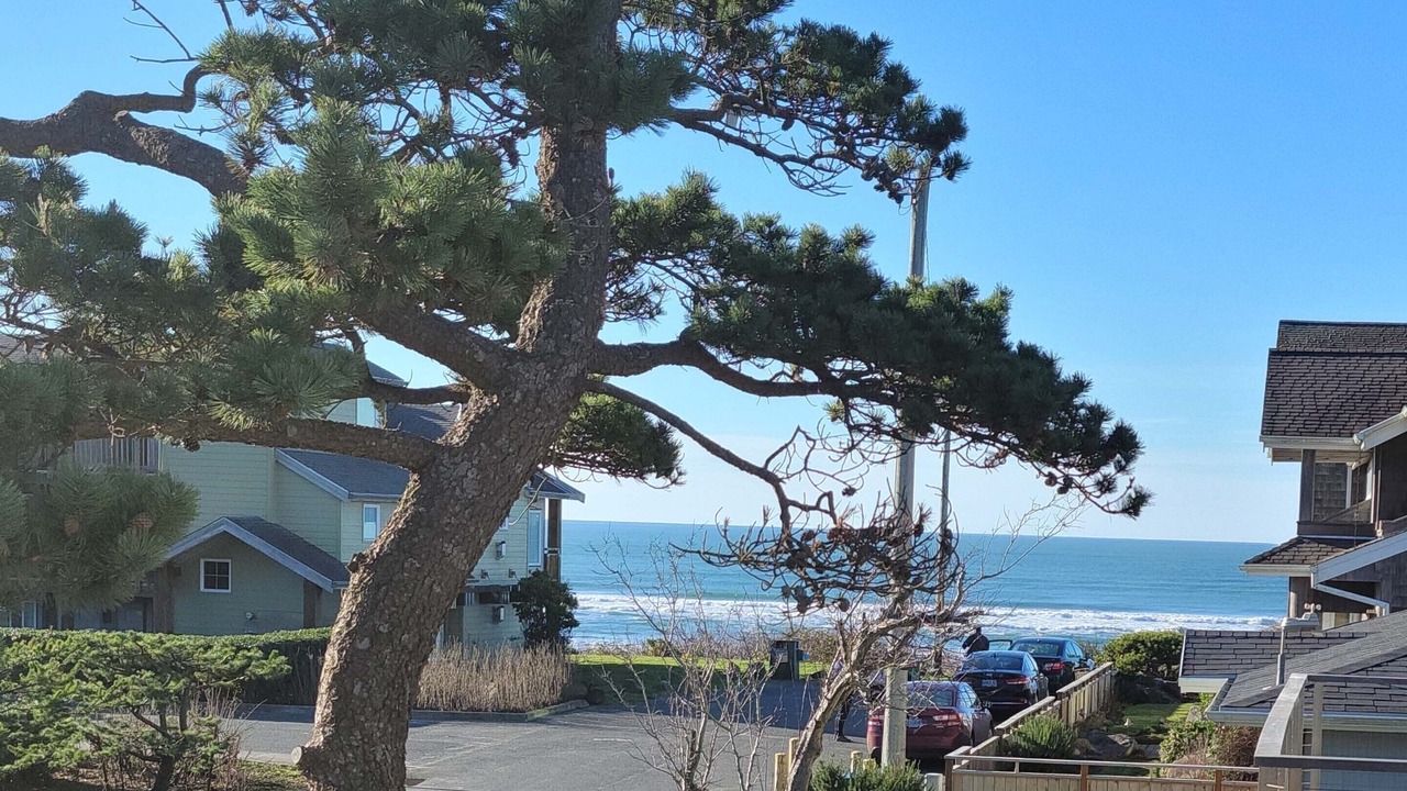Photo of Outdoor in Downtown Cannon Beach
