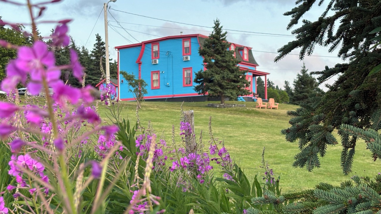 Photo of Outdoor in Dildo