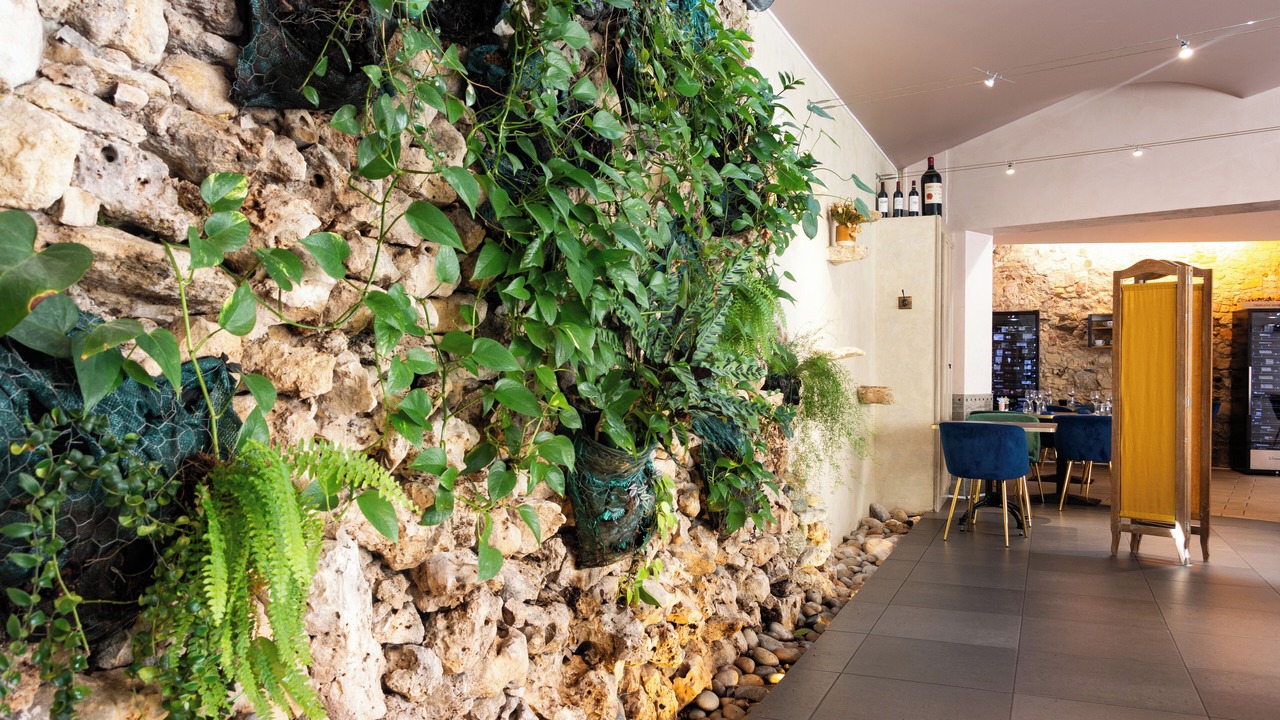 Photo of Others in Libourne