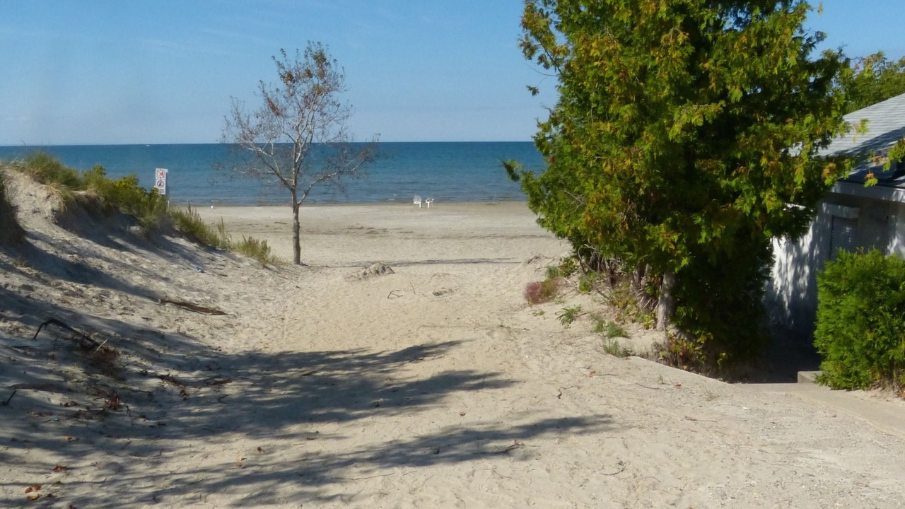 Photo of Others in Wasaga Beach