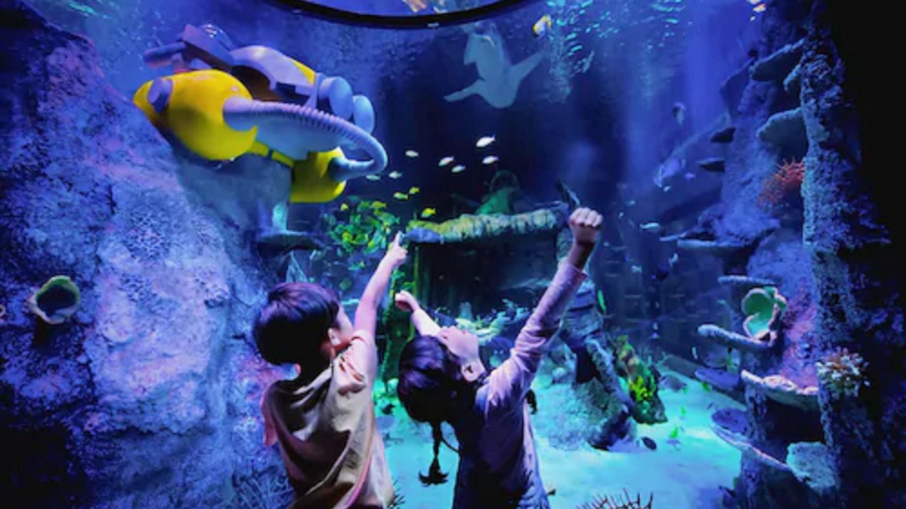 Photo of Others in Medini