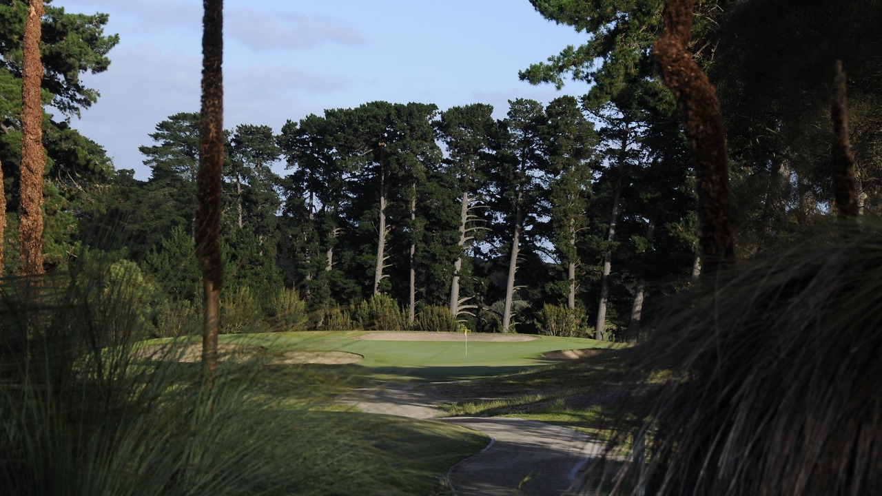 Photo of Others in Rosebud