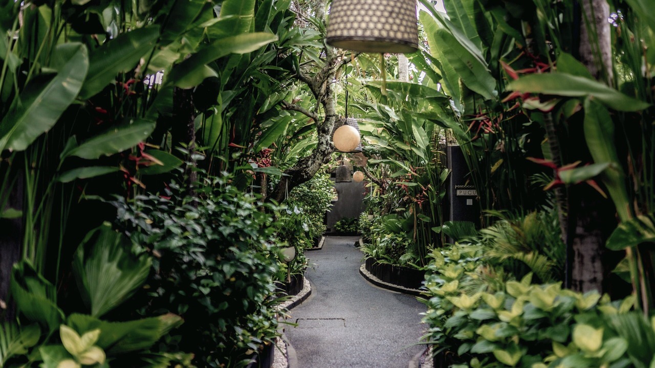 Photo of Outdoor in Dewi Sri